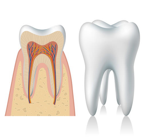Zubni nerv - lecenje zuba